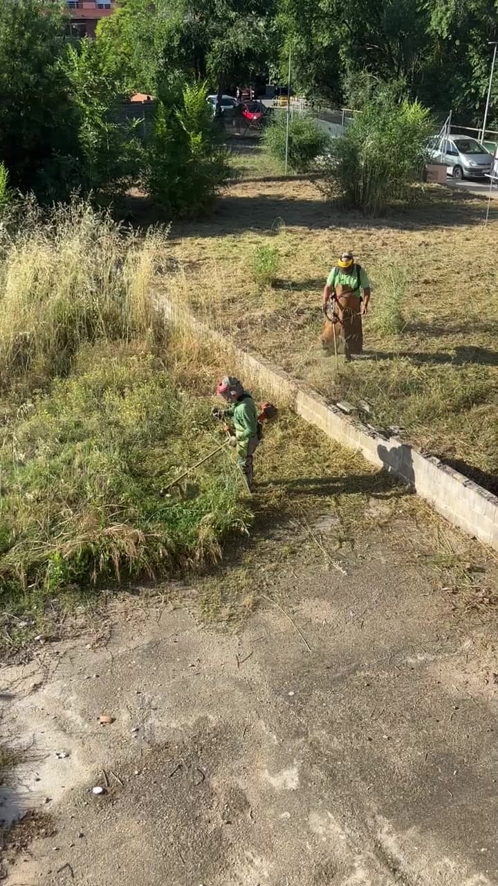 Dos operarios realizando trabajos de desbroce en una parcela