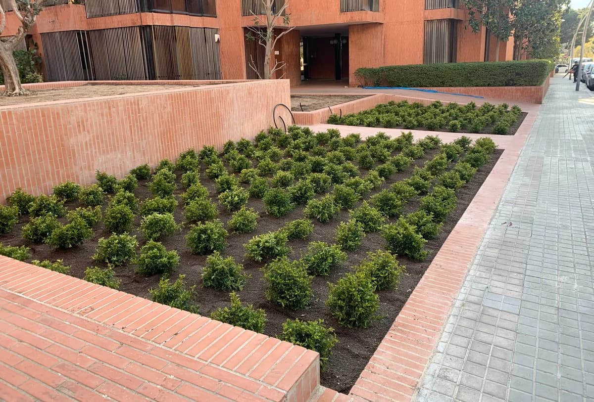 PlantaciÃ³n ordenada en una comunidad de propietarios