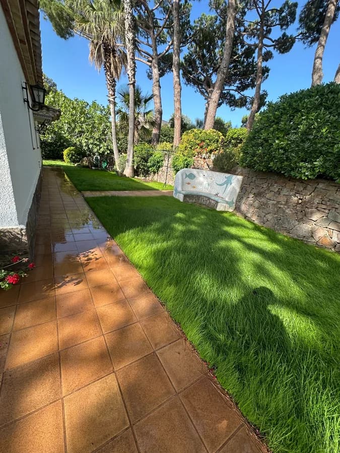 CÃ©sped y palmeras en un jardÃ­n con sistema de riego