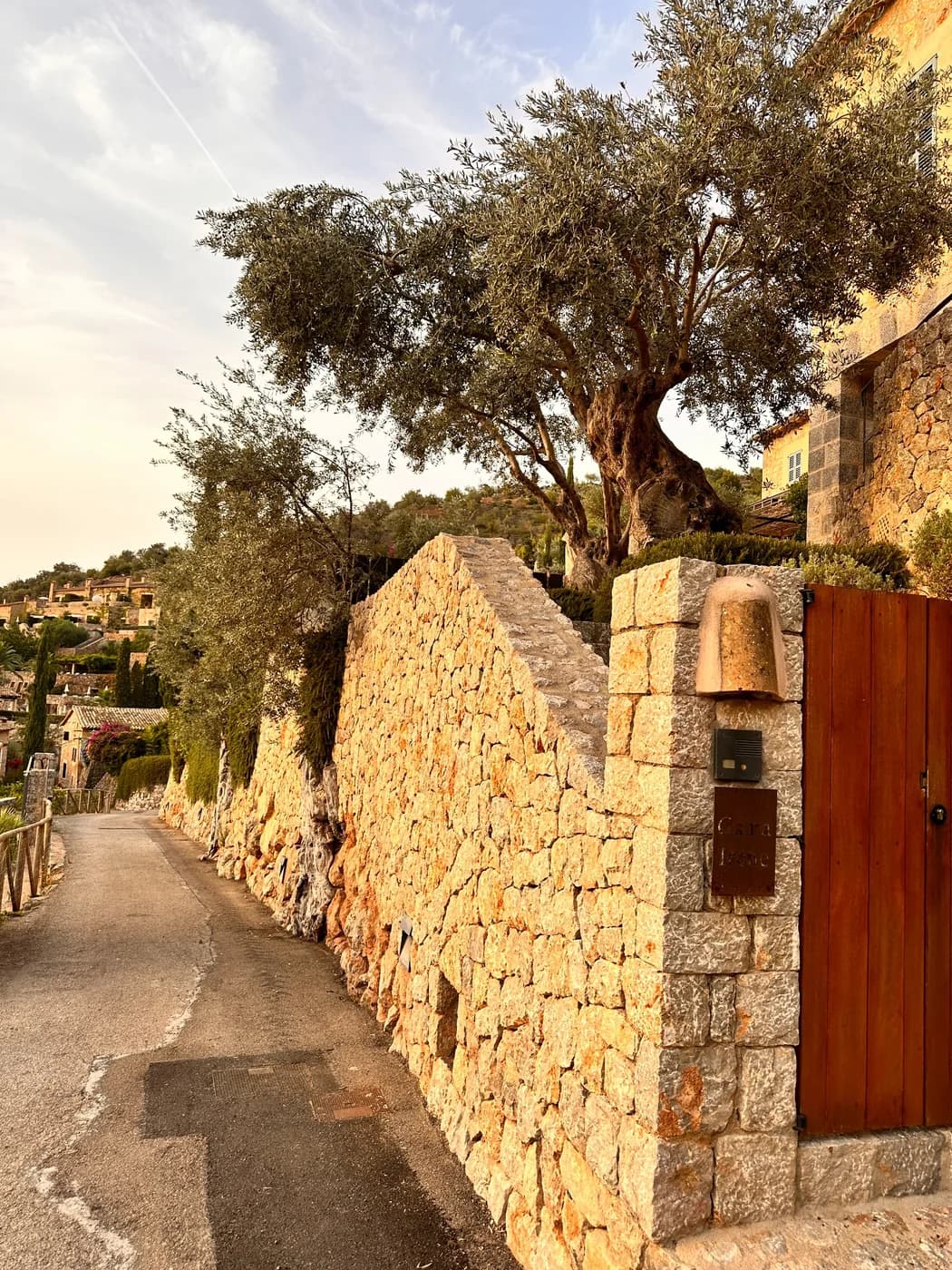 Jardín mediterráneo con olivo y muros de piedra
