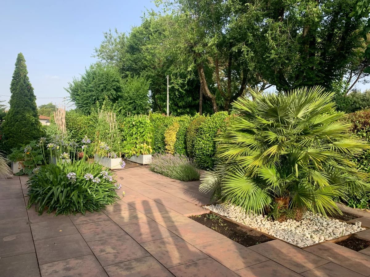 Palmeras y vegetaciÃ³n mediterrÃ¡nea en un jardÃ­n mantenido