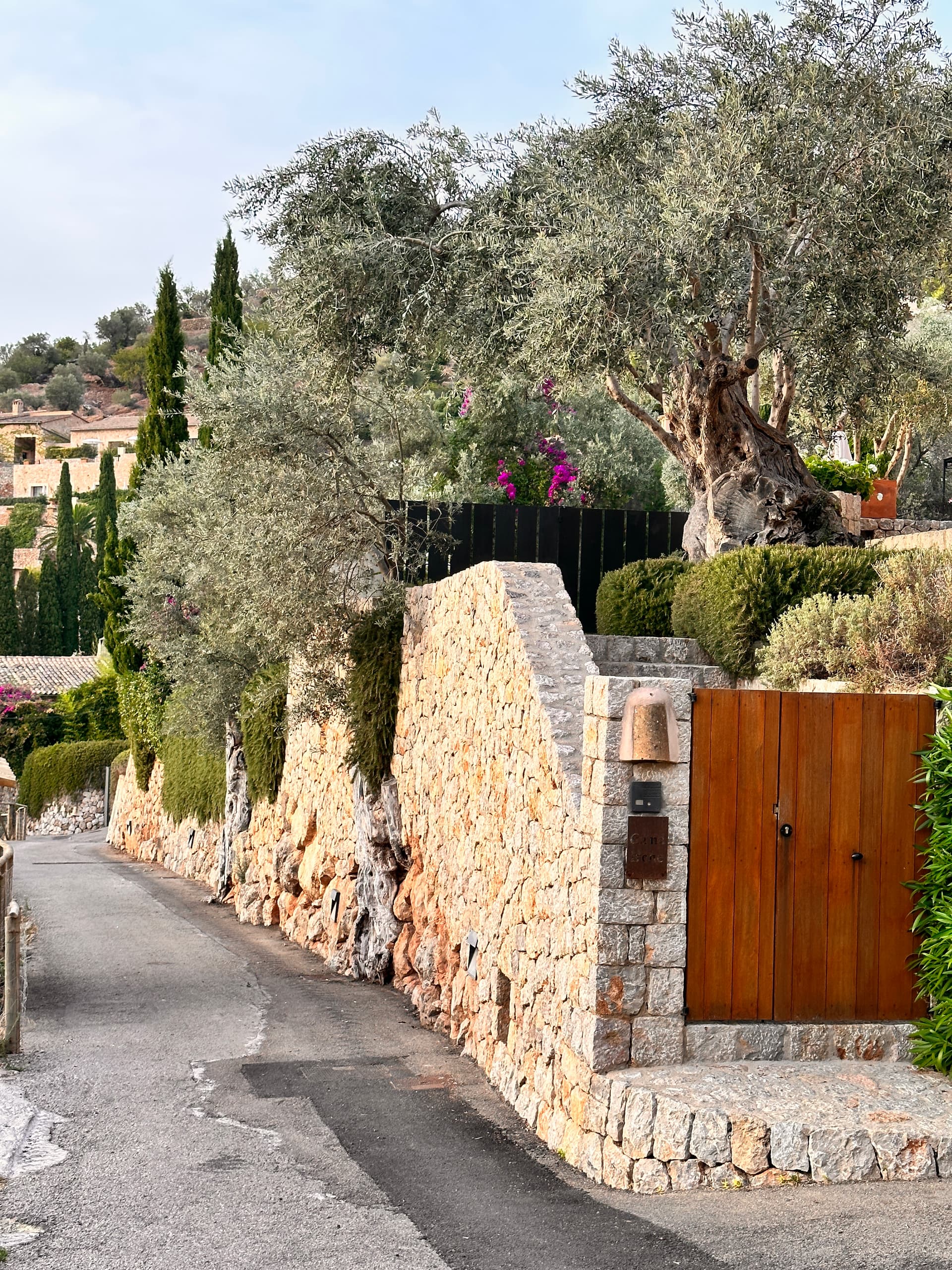 Paisajismo mediterráneo integrado con muro de piedra, olivos y vegetación
