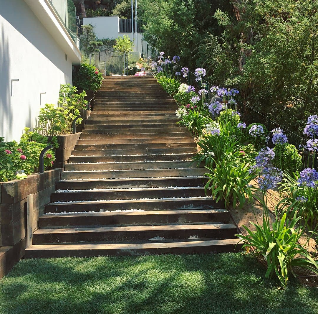 Escalinata integrada entre hortensias y vegetación ornamental