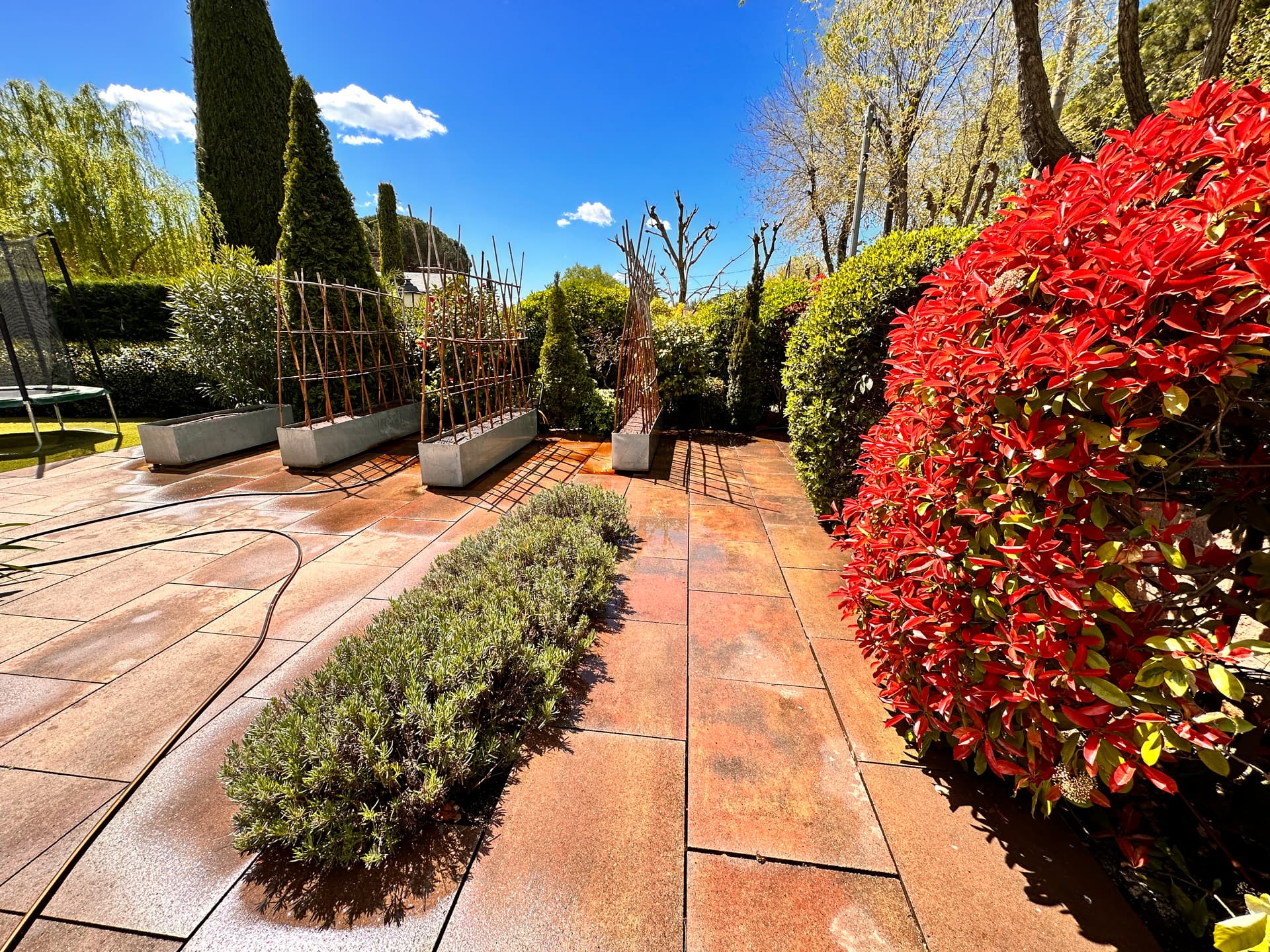 Setos y vegetación ornamental mantenidos en un jardín residencial